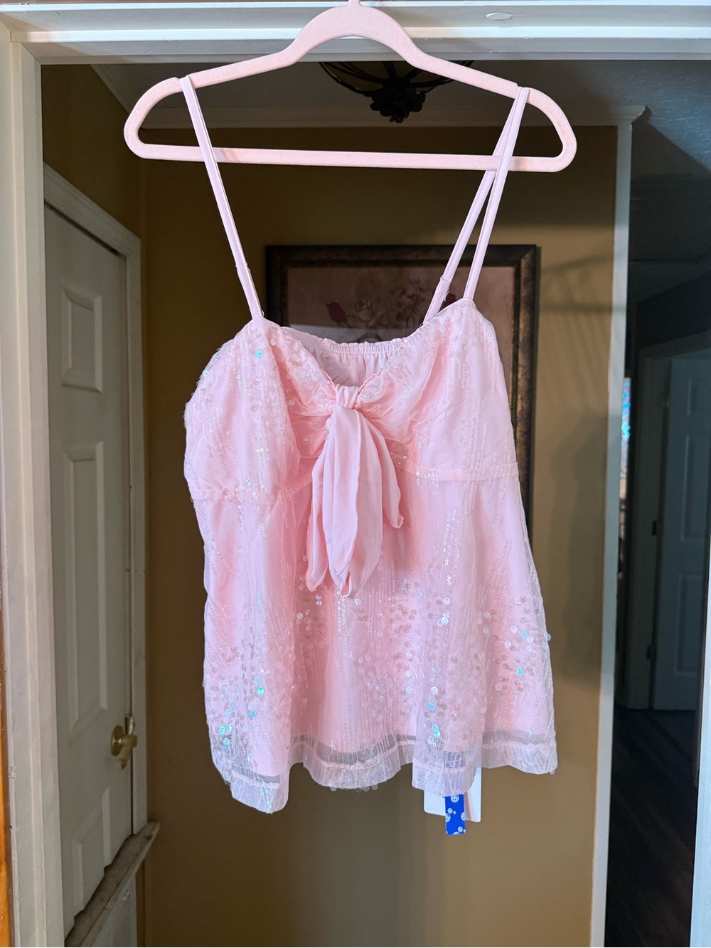 Cider Pink Sequin Tie-Front Cami